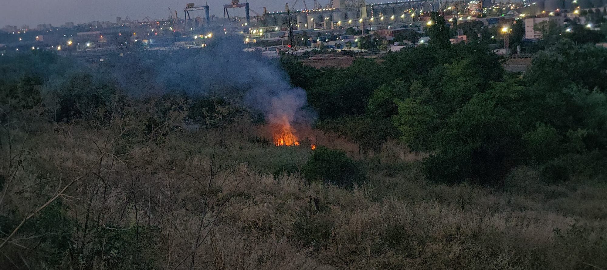 FOTO VIDEO A luat FOC vegetația uscată de pe Valea Portului din Constanța: Pompierii intervin la fața locului