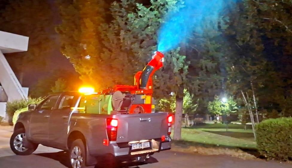 Primăria Constanța anunță că intensifică acțiunile de dezinsecție pe raza municipiului