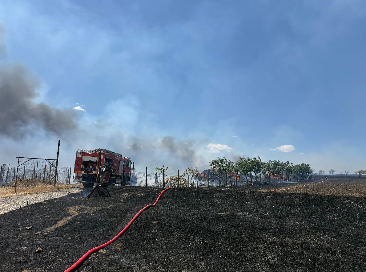 40 de hectare de vegetație uscată au ars la ieșirea din Nazarcea spre Ovidiu: Pompierii au intervenit cu mai multe autospeciale