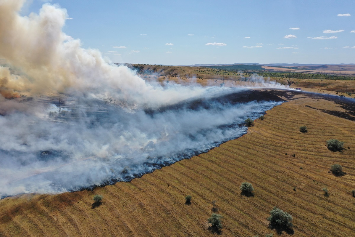 Tulcea incendiu vegetație