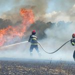 Atenție, șoferi: A luat foc vegetația uscată de pe DN2A, între Nicolae Bălcescu și Dorobanțu!