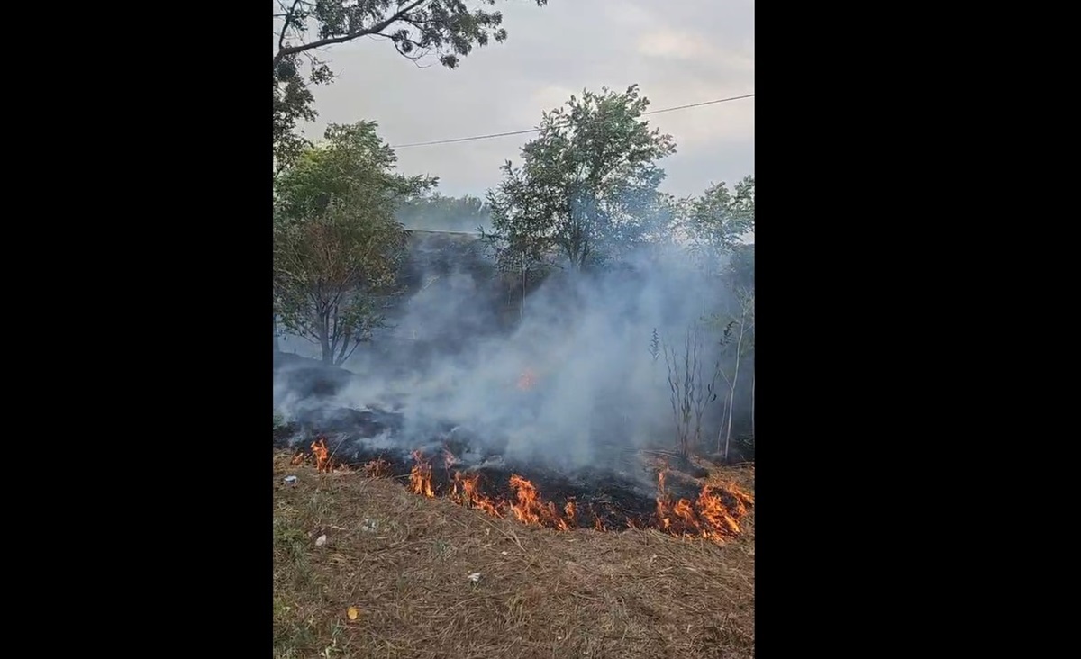 VIDEO Alertă între Eforie Nord și Sud! A luat foc vegetația uscată dintre cele două stațiuni
