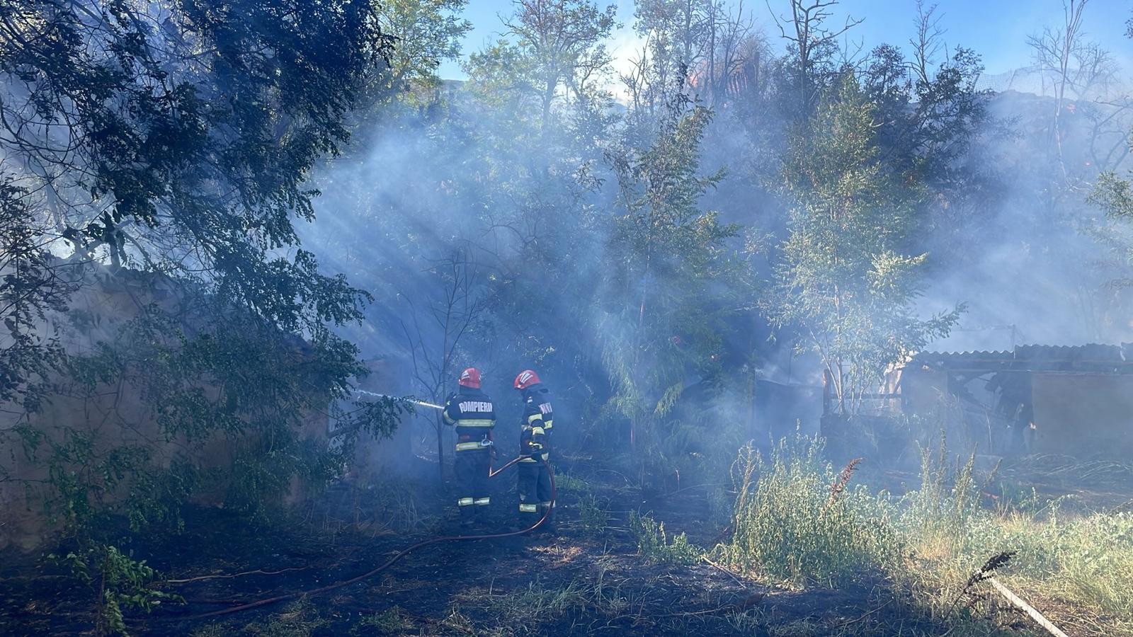 VIDEO Incendiu în Mahmudia, județul Tulcea! Un incendiu de vegetație uscată s-a extins la anexe gospodărești