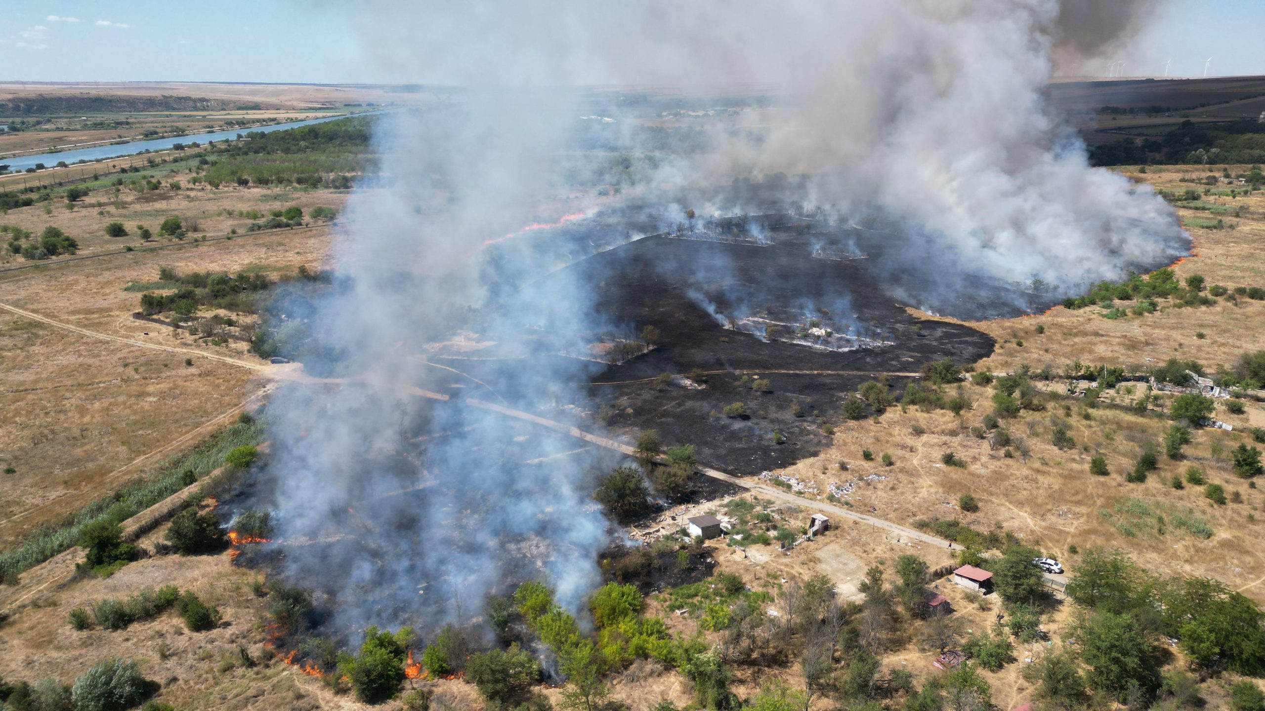 FOTO VIDEO Alertă în Medgidia: incendiu puternic de vegetație uscată lângă Școala Gimnazială I.L. Caragiale