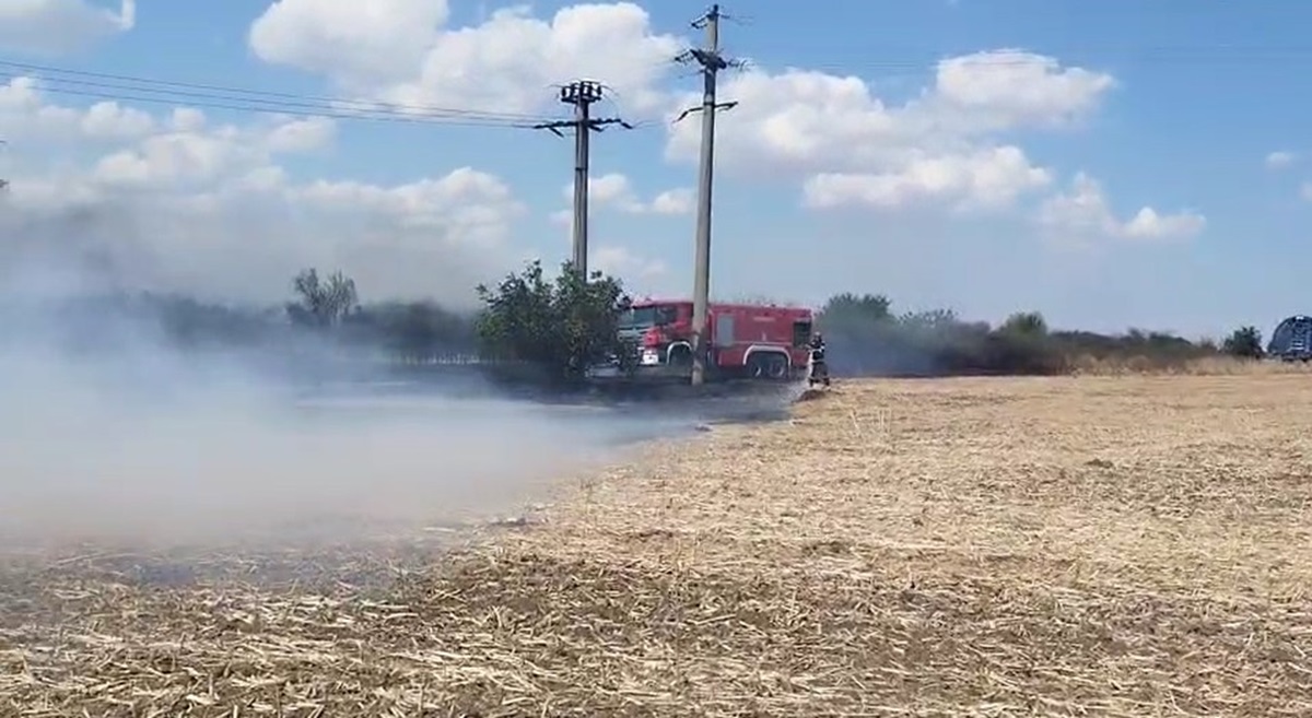 Alertă pe Autostrada A2, pe sensul spre Constanța! A luat foc vegetația de pe marginea drumului