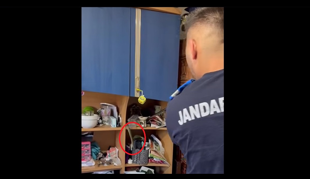 VIDEO Un șarpe dintr-o specie rară și protejată, capturat dintr-o casă din Cumpăna de jandarmii de la Detașamentul Mangalia