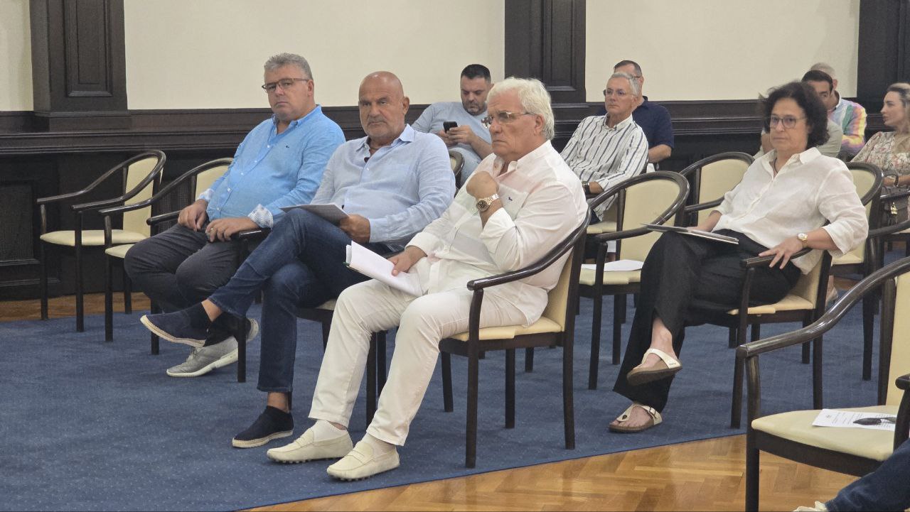 Vergil Chițac dezbatere metodologie vânzare bunuri