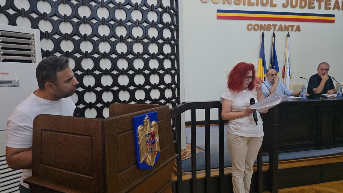 Vergil Chițac dezbatere metodologie vânzare bunuri
