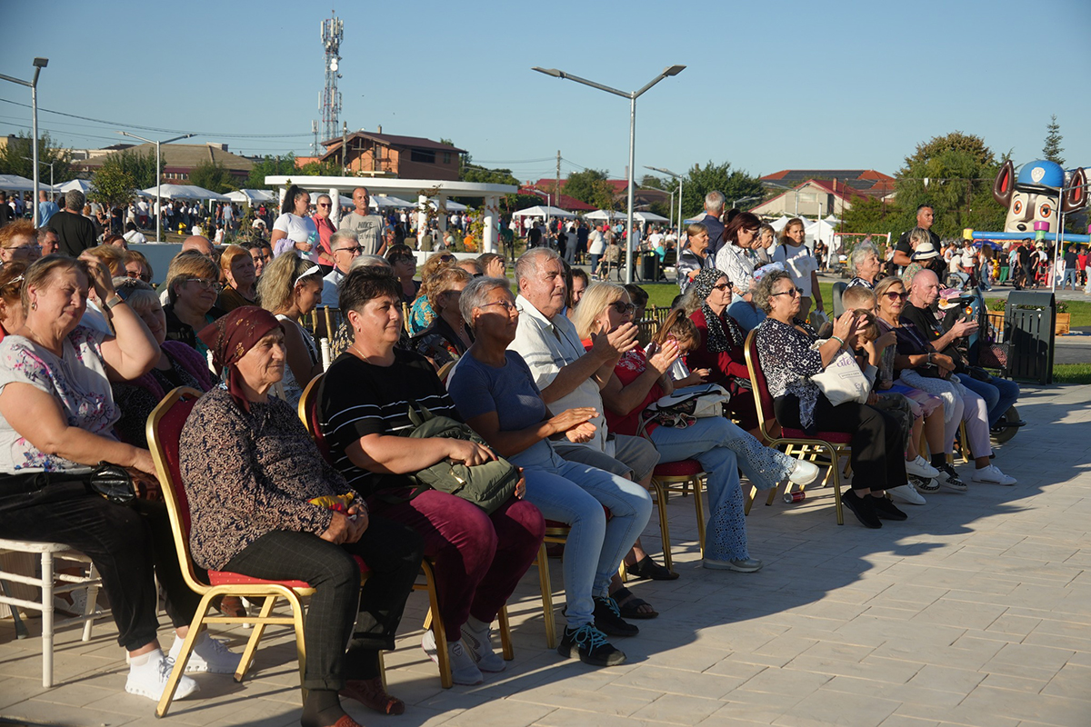 Prima ediție a Festivalului Șuberecului,