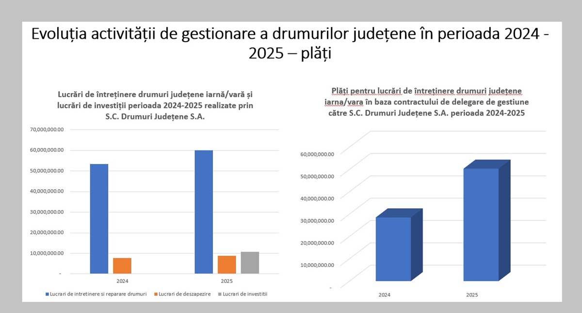 Florin Mitroi analiză Consiliul Județean Constanța