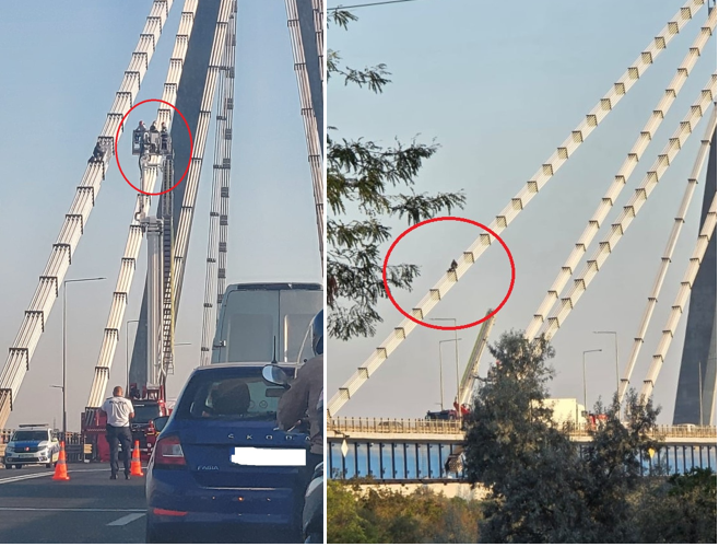 Oficial de la IJP Constanța despre incidentul de pe podul de la Agigea: bărbatul, cu antecedente similare, a coborât în siguranță