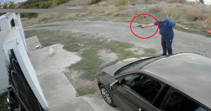 Amendă de 7.000 de lei pentru bărbatul care a tras cu un pistol cu bile într-un bichon, în Palazu Mare. Acesta a rămas și fără pistol