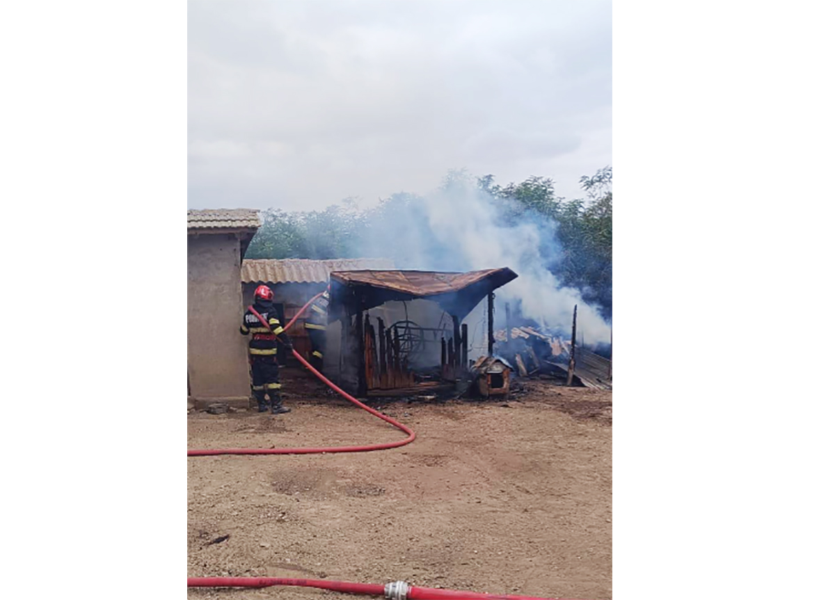 Incendiu Mihai Bravu, Tulcea