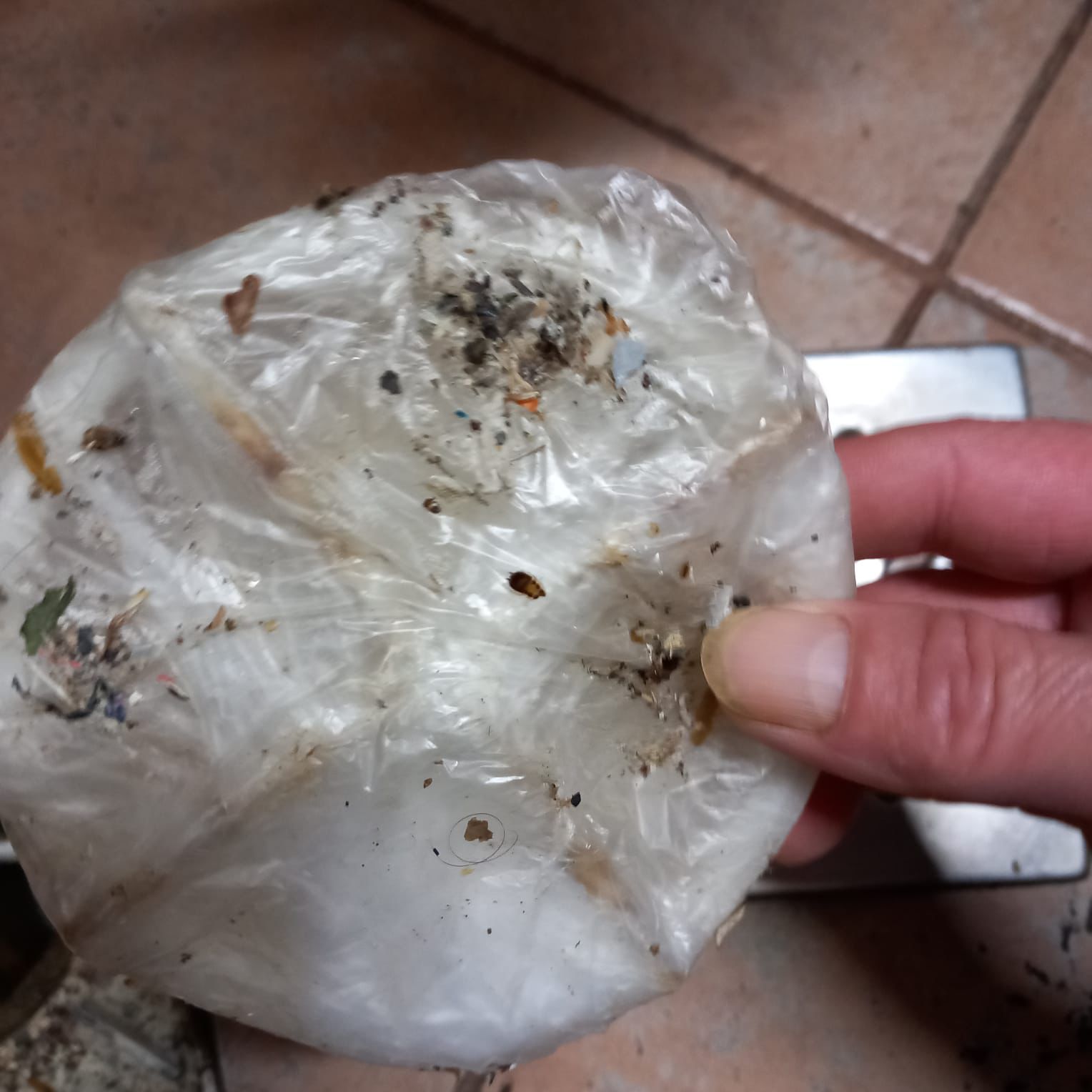 Control alimentara Piața Tomis 3, CJPC