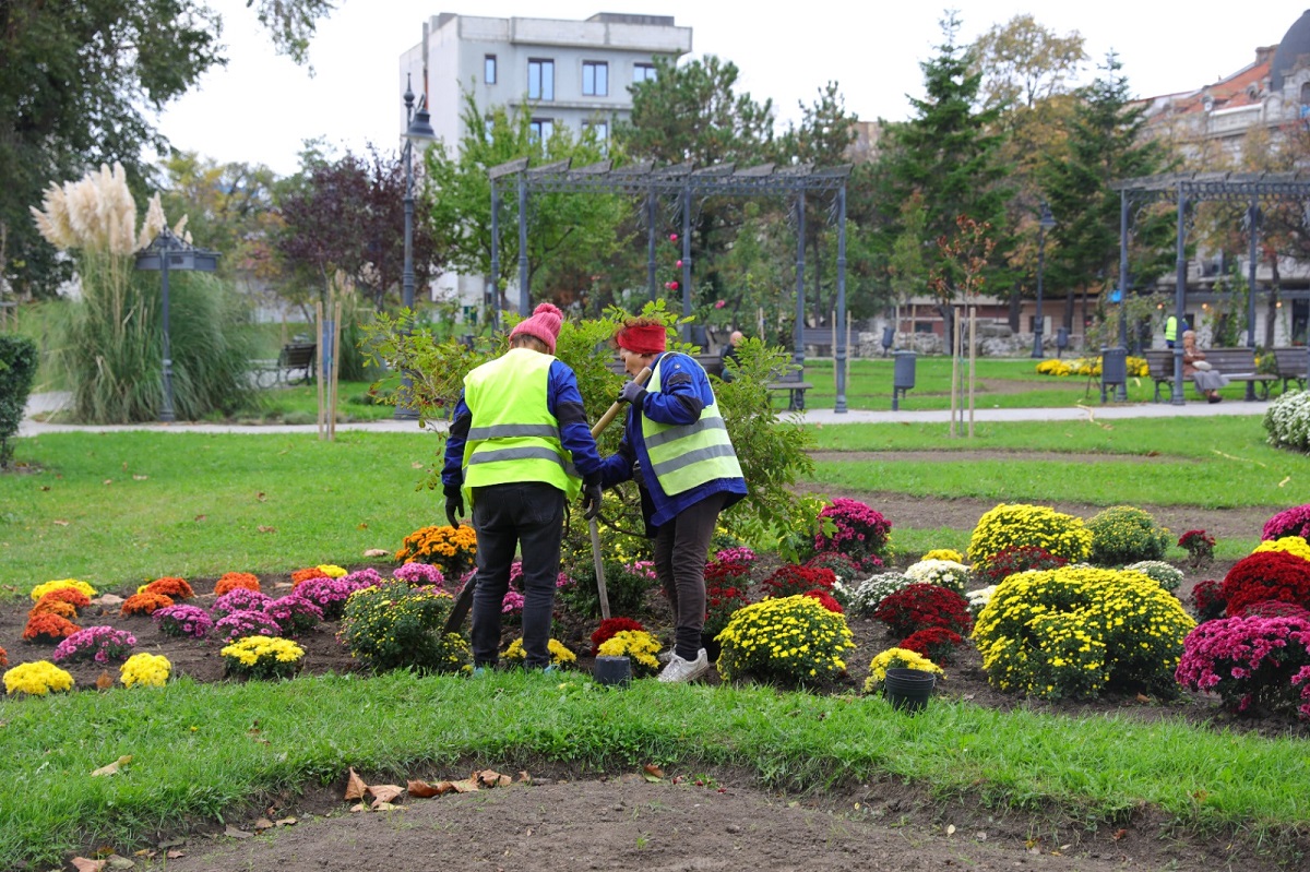 FOTO Campanie de toamnă: mii de flori și arbuști ornamentali vor fi plantați în Constanța