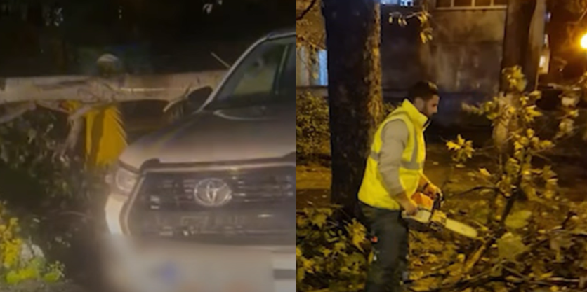 VIDEO Un copac a căzut peste o mașină aflată pe aleea Timonei din Constanța