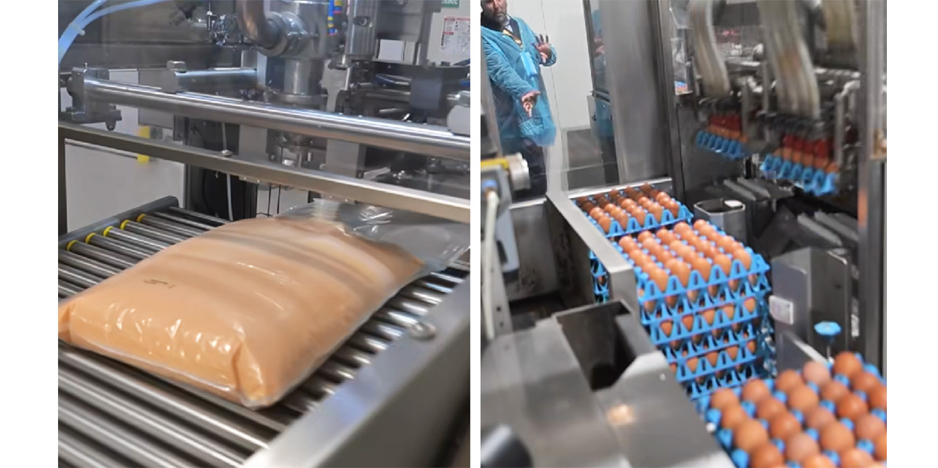VIDEO S-a deschis prima fabrică de ouă lichide din România, o investiție de 5 milioane de euro