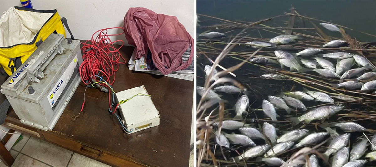 Tuper de braconier: Un bărbat din Cernavodă care pescuia pe Dunăre cu curent electric, a fugit cu poliția pe urme