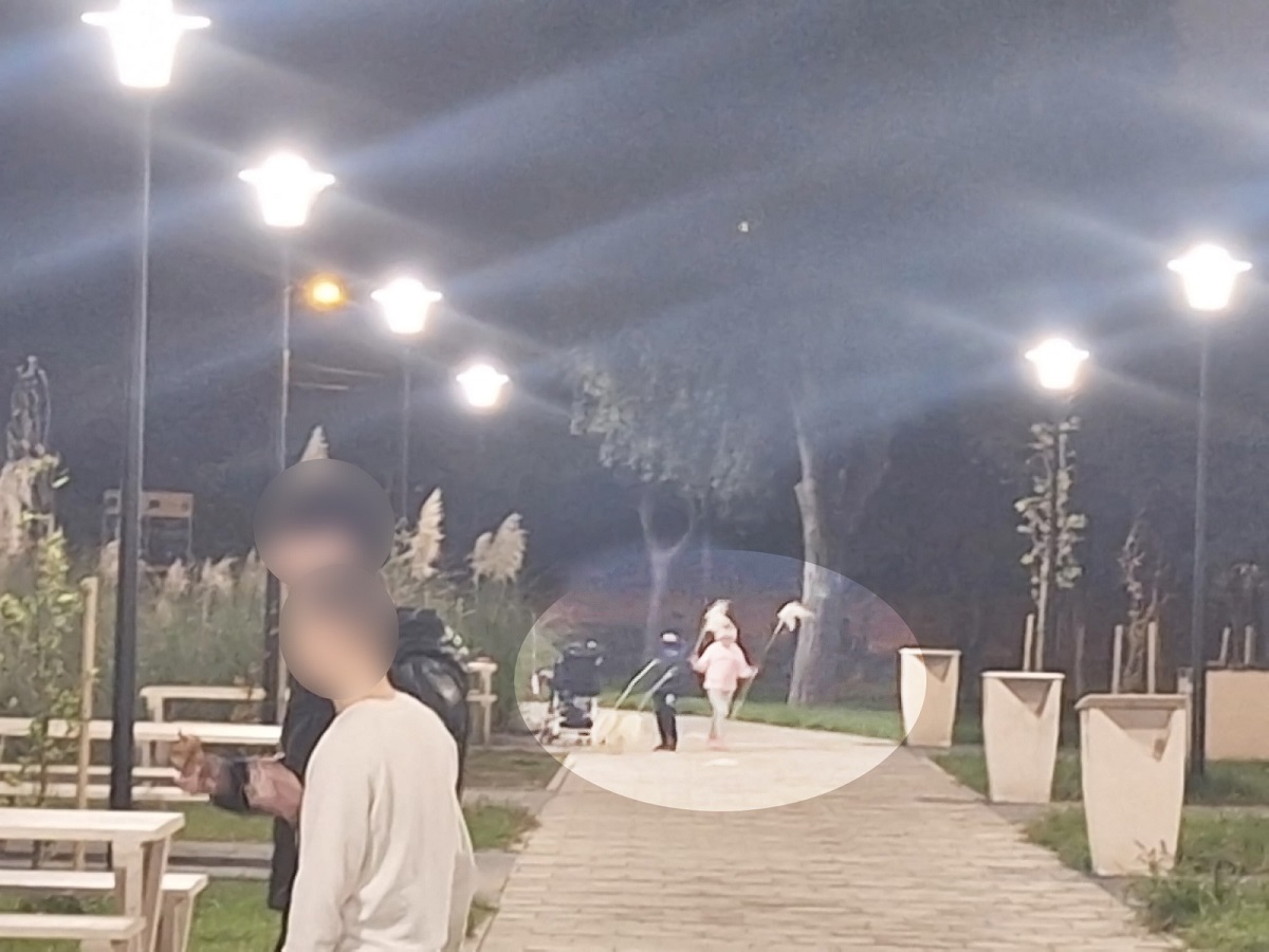 FOTO Vandalism în Parcul Poarta 6 din Constanța: plante decorative, rupte și furate la scurt timp după plantare