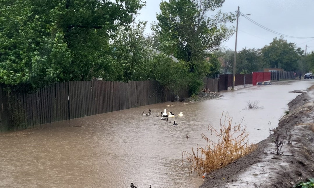 VIITURI și INUNDAȚII în Dobrogea, anunță hidrologii! Ce râuri sunt vizate