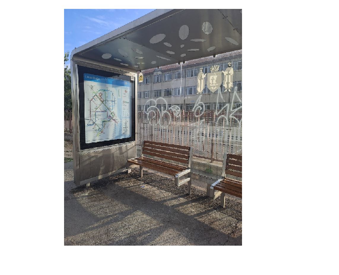 Stația CT BUS de pe strada Viorelelor, tinta unui act de vandalism: un minor a fost amendat
