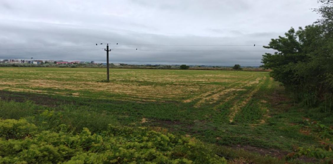 ANAF scoate la licitație un teren agricol de 45.000 mp în Năvodari