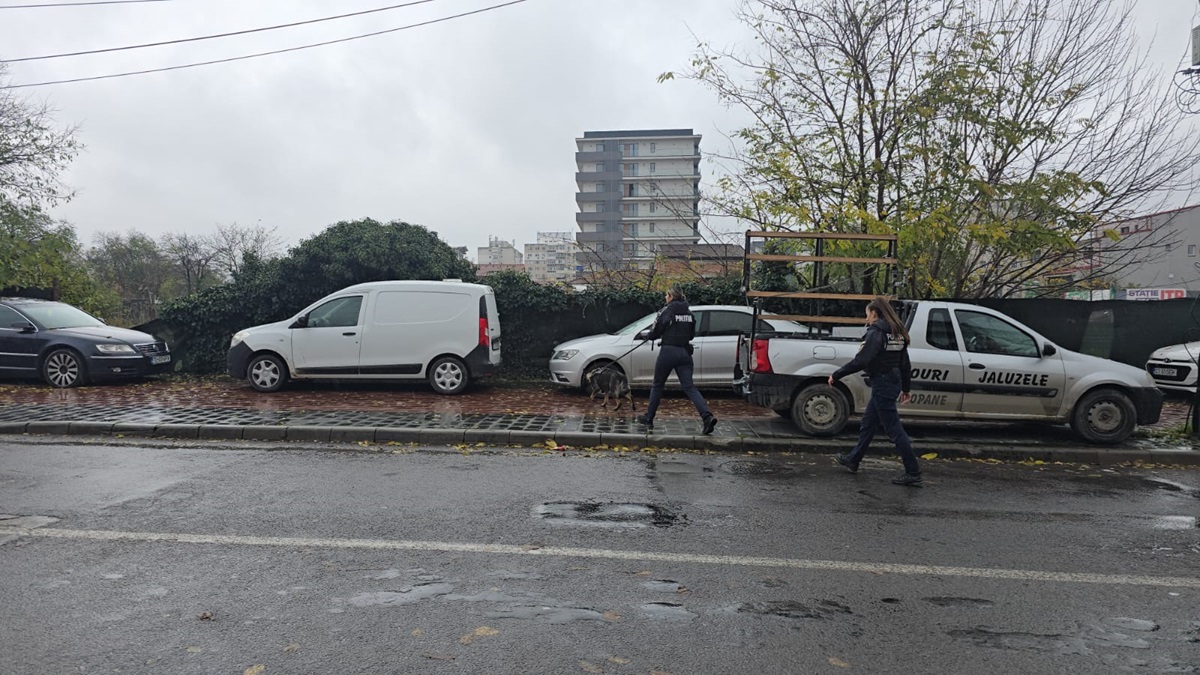 Câine-politist-Constanța