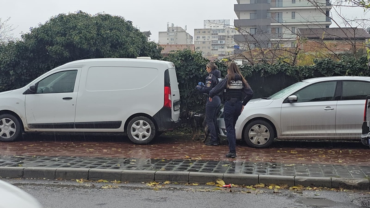 Câine-politist-Constanța
