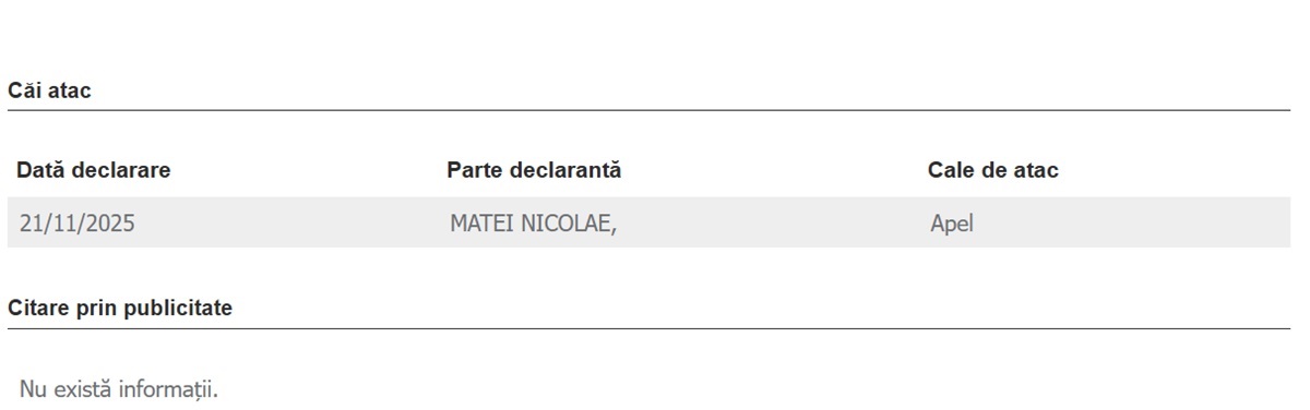 Nicolae-Matei-tribunal