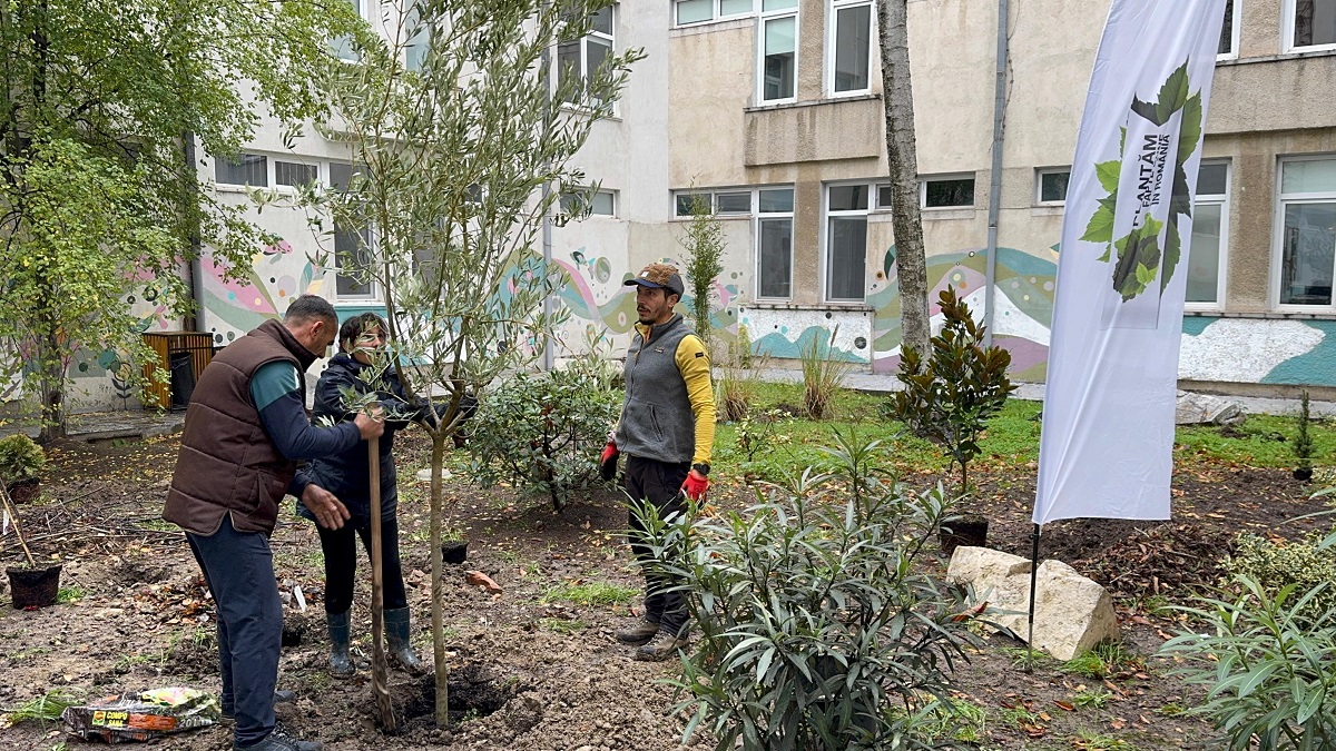Proiect ecologic și artistic la Colegiul Național de Arte Regina Maria din Constanța: curtea interioară a devinit spațiu verde și galerie de artă în aer liber