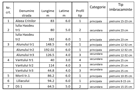 Străzi de asfaltat Lumina 