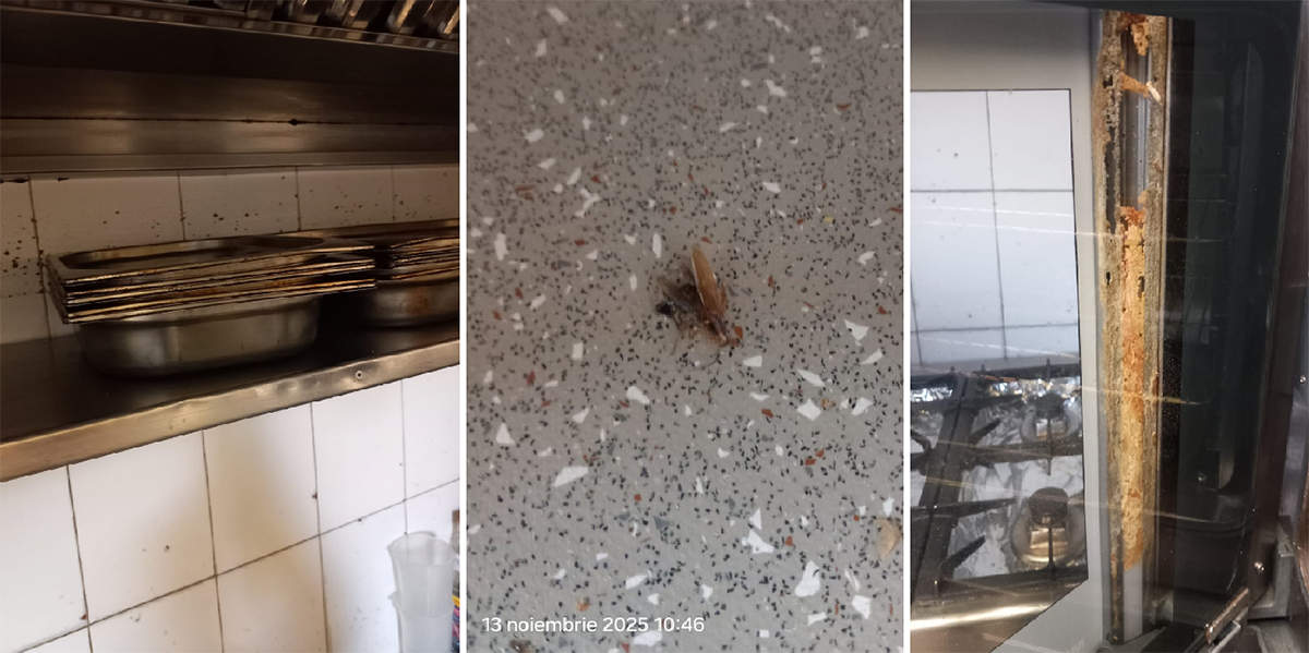 FOTO VIDEO Barissimo Cocktail Bar și Restaurantul Popina din Constanța, închise temporar de Protecția Consumatorilor: Ce nereguli CRASE au fost constatate
