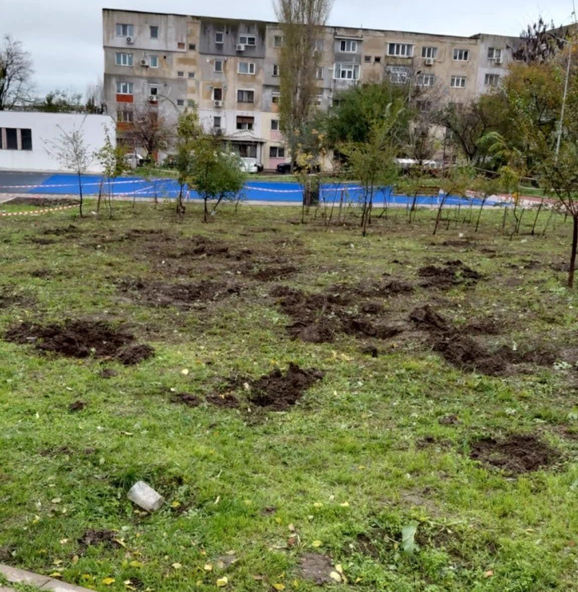 Constanța: Ce se întâmplă în Pădurea Urbană din inel 2 după scoaterea unor arbuști. Cum a ripostat Asociația Act for Tomorrow și ce a transmis municipalitatea