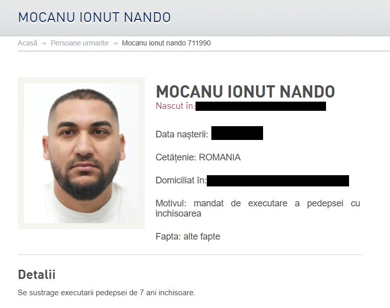 Ionuț Nando Mocanu frate Dani Mocanu