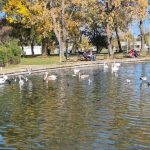 PUZ-ul companiei Pontoane.ro pentru investiția de pe Lacul Neptun intră la vot, în Consiliul Local Mangalia: Cazare în varianta lacustră și agrement nautic, propun investitorii