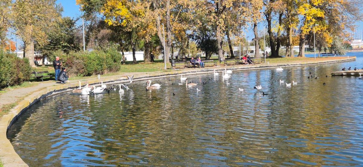 PUZ-ul companiei Pontoane.ro pentru investiția de pe Lacul Neptun intră la vot, în Consiliul Local Mangalia: Cazare în varianta lacustră și agrement nautic, propun investitorii