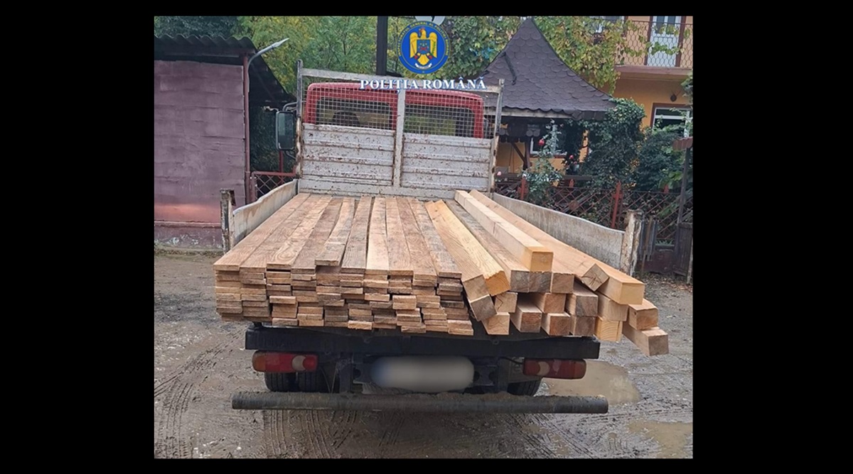 Transport ilegal de lemne, oprit în trafic de polițiștii din Băneasa!