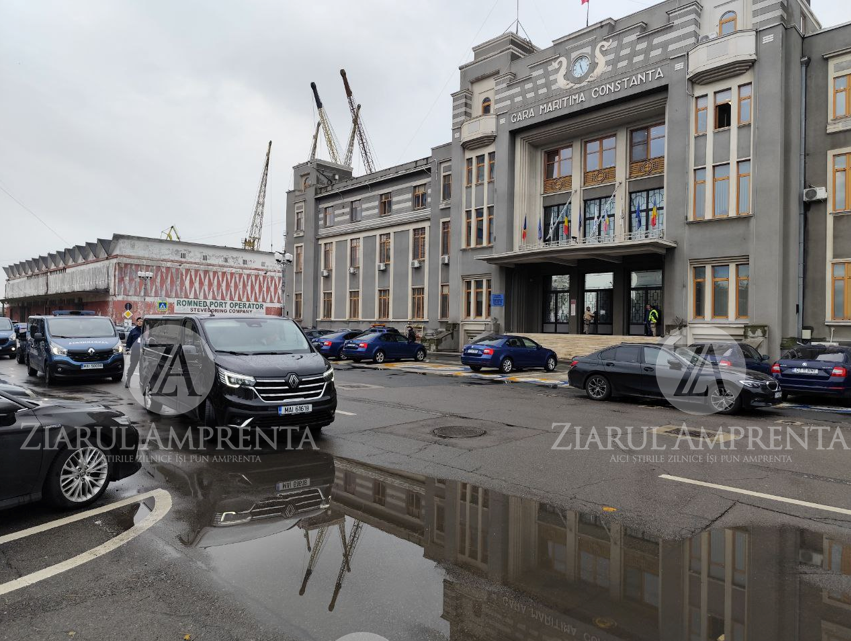 CN APM Constanța, încă o încercare de atribuire a contractului ce vizează serviciile de capturare a câinilor fără stăpân din portul Constanța: Licitațiile, ratate de mai multe ori