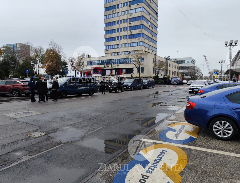 Blocaj în atribuirea contractului pentru achiziția serviciilor de gestionare a câinilor fără stăpân din portul Constanța. Ce s-a întâmplat în cadrul procedurii