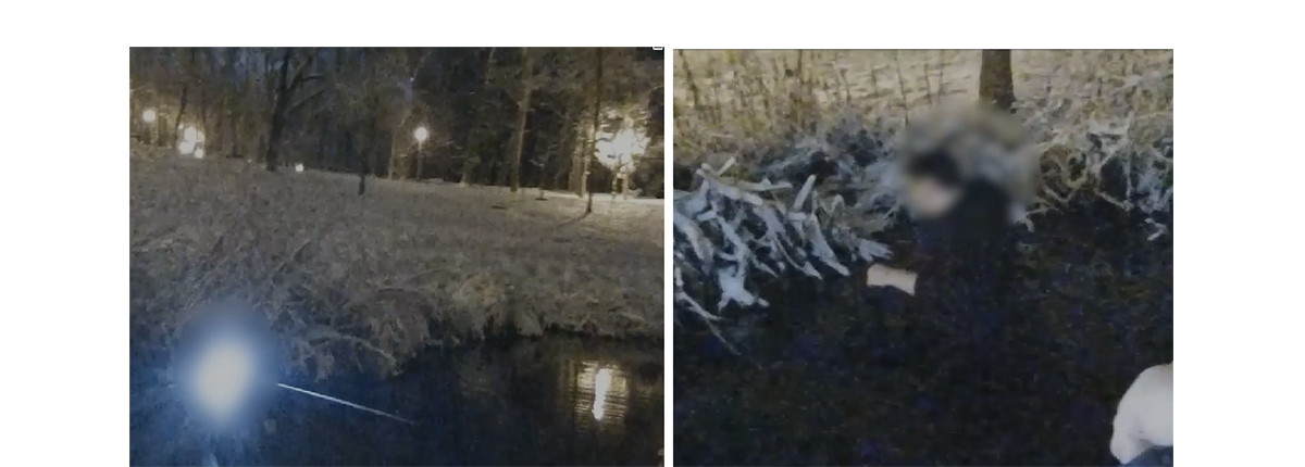 VIDEO ALERTĂ 112: Urmărit de o haită de câini, un bărbat a căzut în lac și a rămas blocat în nămol