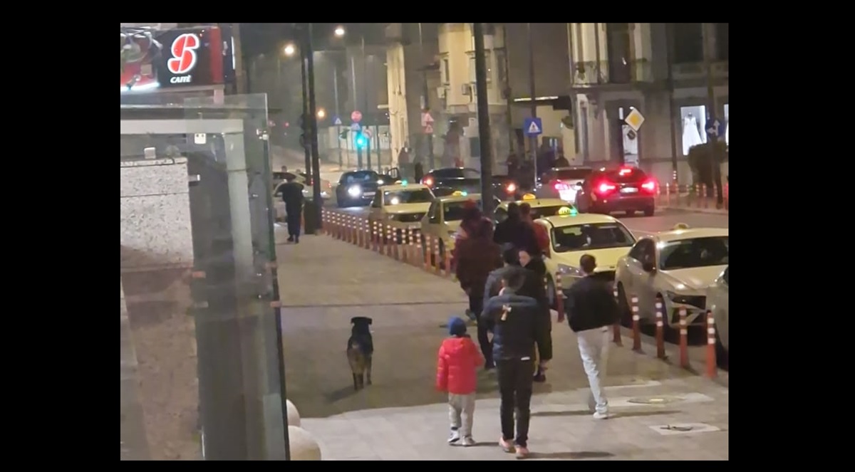 Accident rutier lângă Tomis Mall, pe strada Mihai Viteazu, din Constanța! Autobuzele circulă DEVIAT