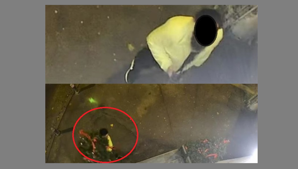 REVOLTĂTOR Cetățean surprins în Constanța de camerele video când fugea cu bradul de Crăciun al unui cabinet oftalmologic! Grinch, ai apărut – îl ironizează internauții