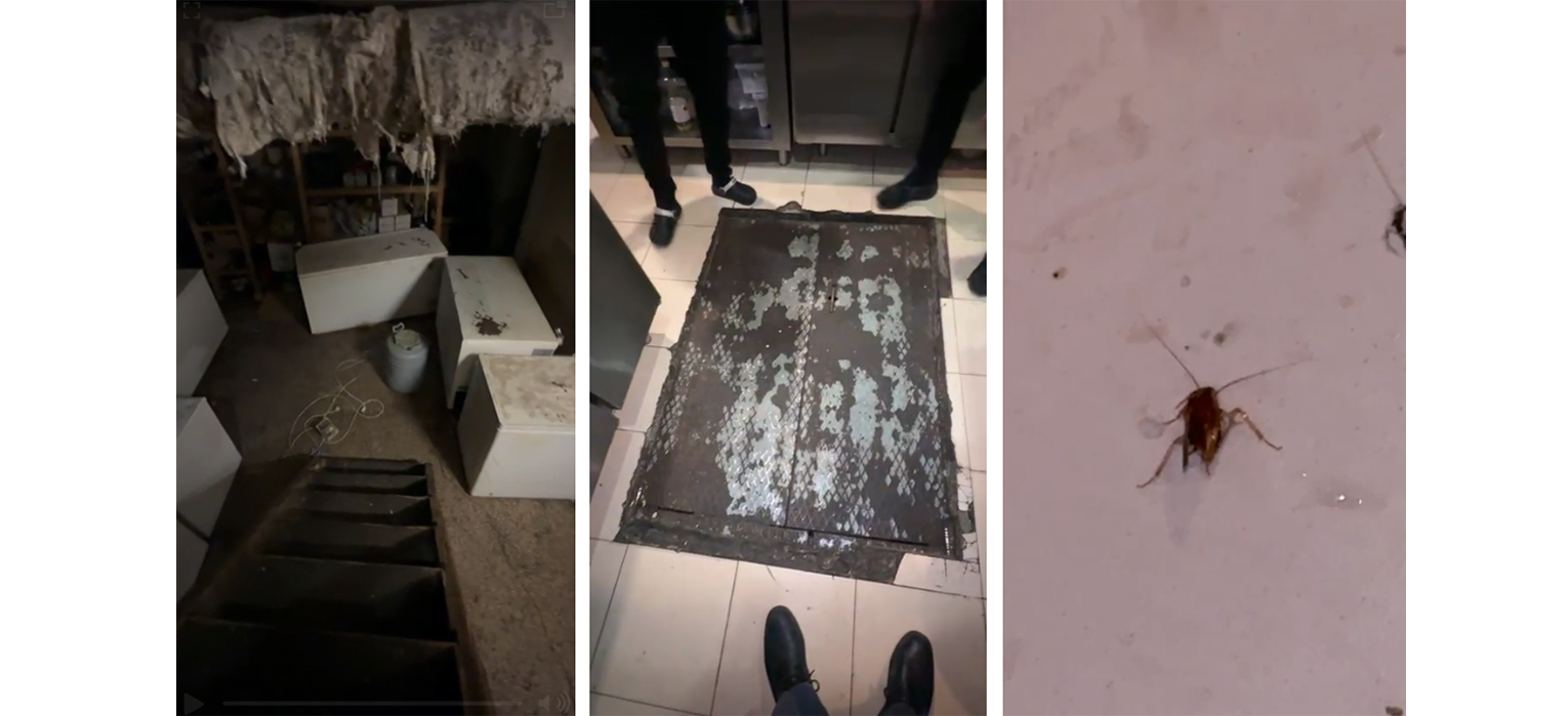 FOTO VIDEO Souvlaki Bar din Constanța, călcat de inspectorii CJPC: Mucegai, gândaci vii și alimente necorespunzătoare