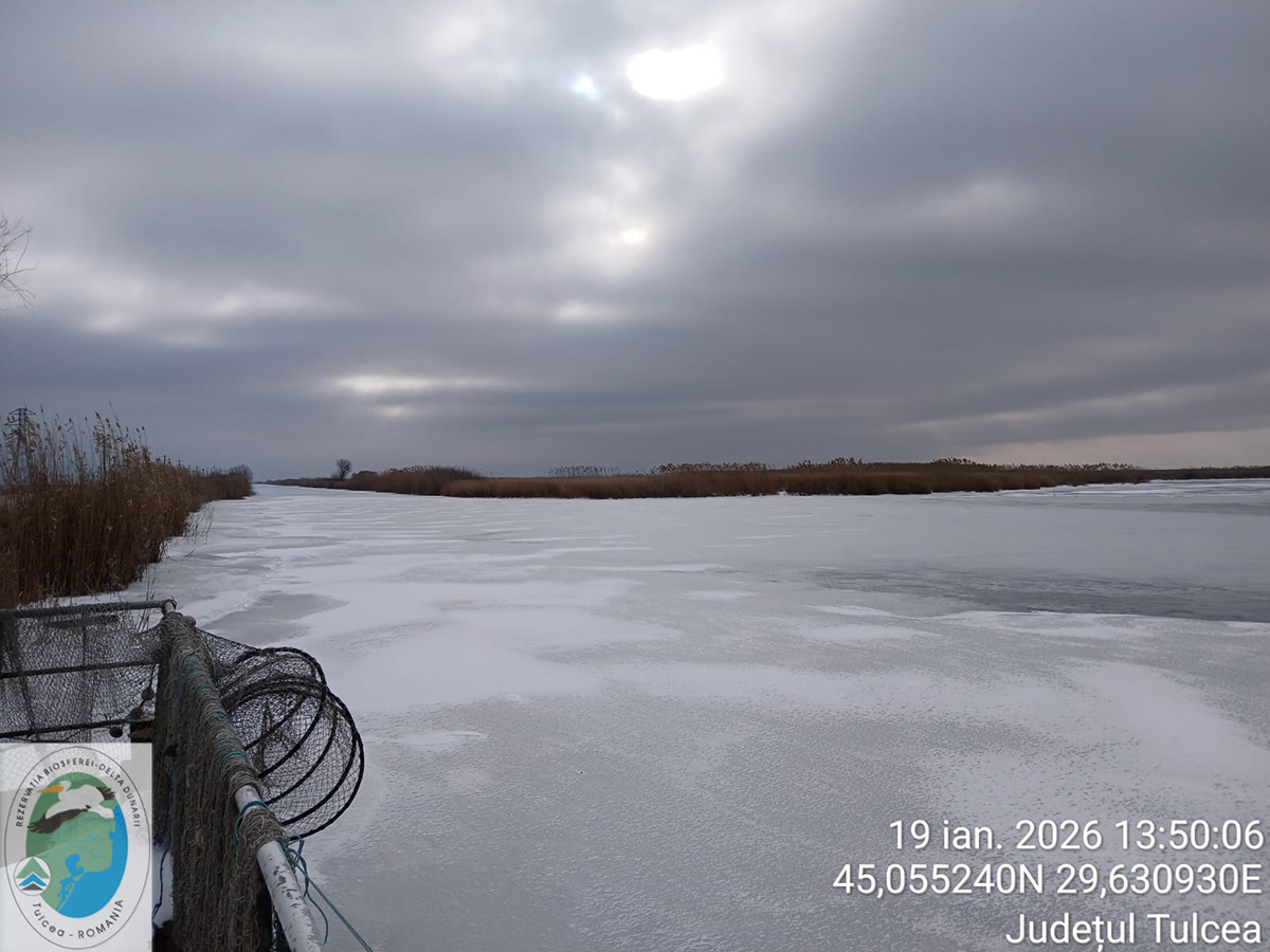 Au înghețat lacurile și canalele din Rezervația Biosferei Delta Dunării