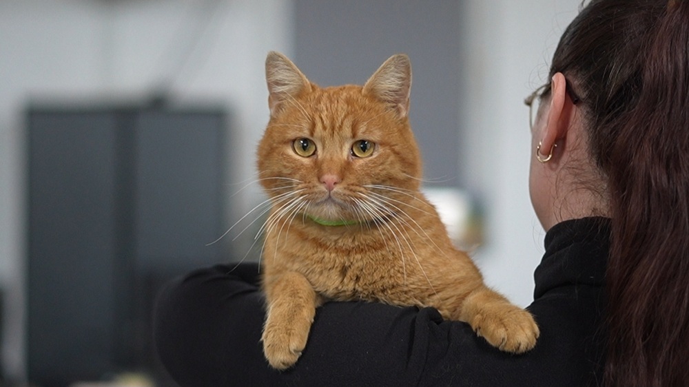 VIDEO Garfield, coechipierul de la Polaris care nu lipsește de la nicio misiune  