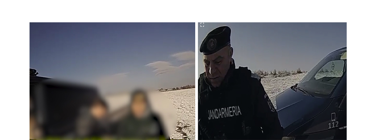 VIDEO Erou la 12 ani: Victor, un băiețel din județul Tulcea, și-a salvat frații de o haită de câini agresivi