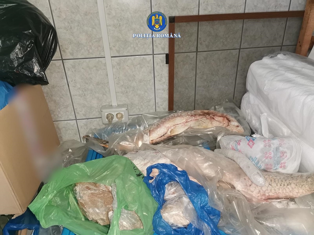 percheziții Băneasa vânat