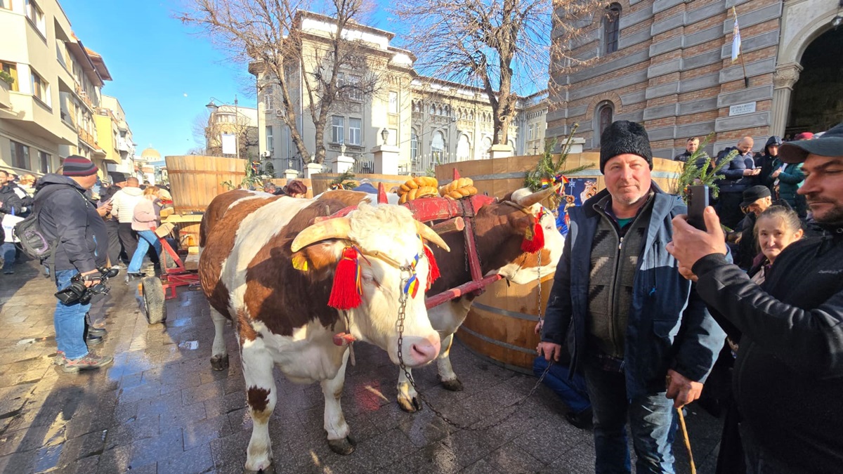 Boboteaza Catedrală 2026 Constanța ÎPS Teodosie