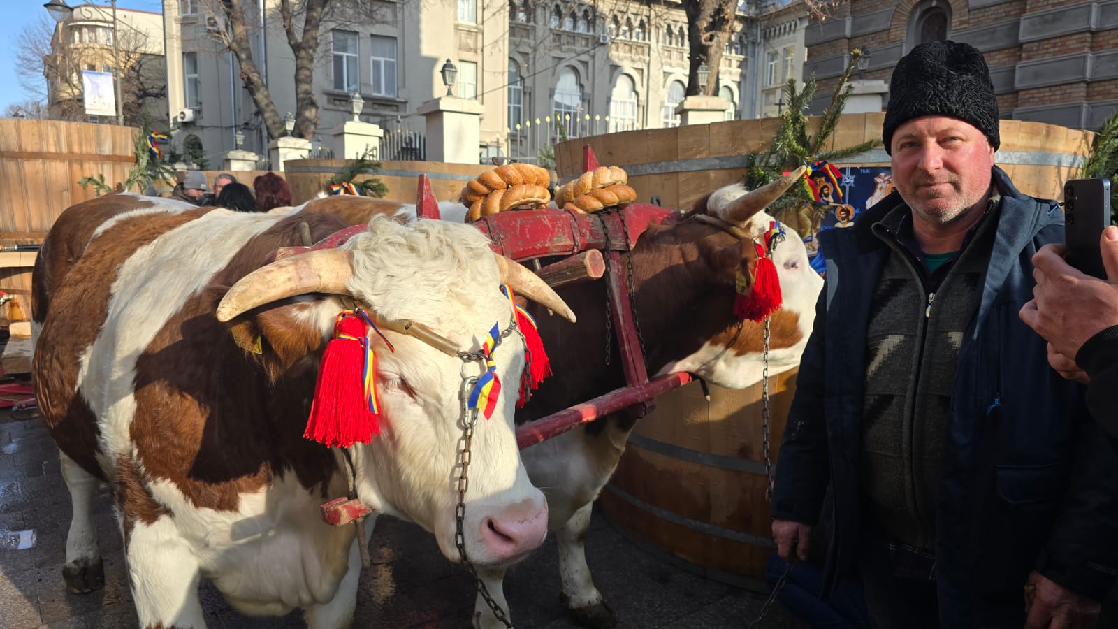 Boboteaza Catedrală 2026 Constanța ÎPS Teodosie
