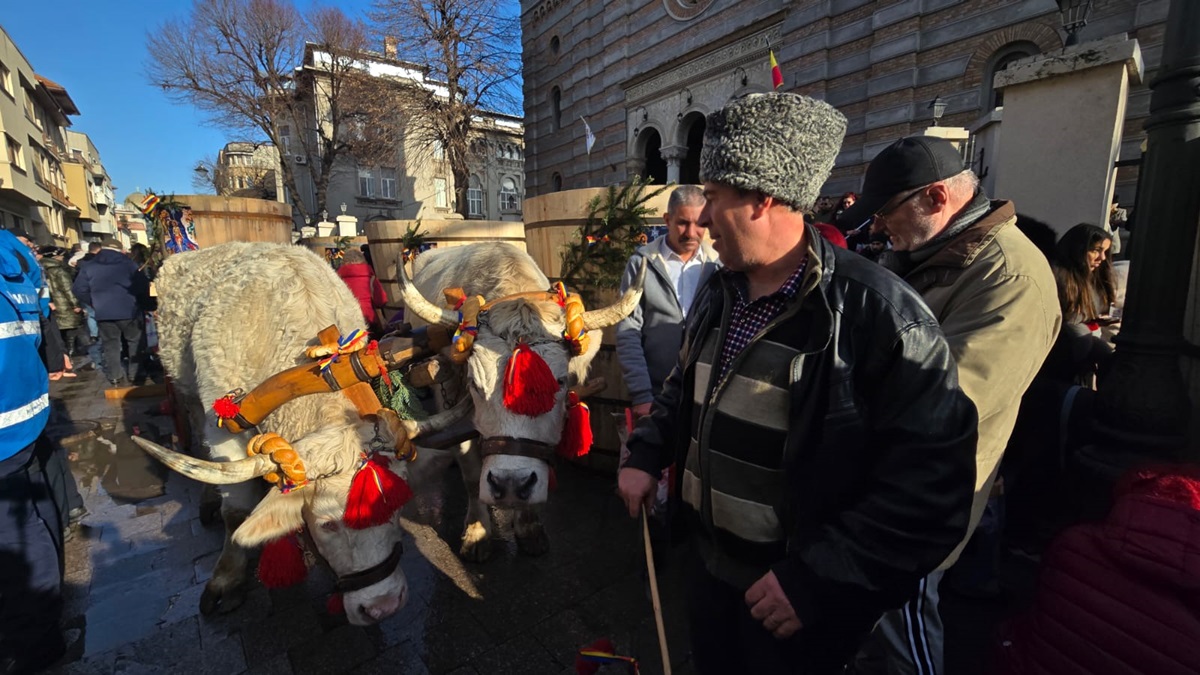 Boboteaza Catedrală 2026 Constanța ÎPS Teodosie